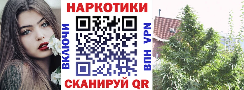 Галлюциногенные грибы Олонец