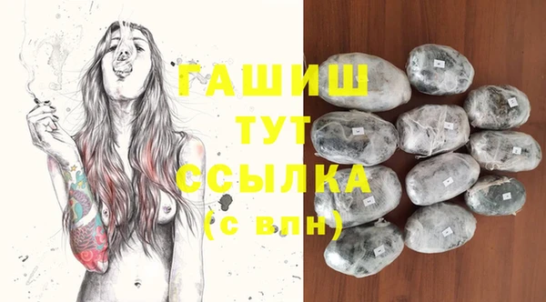PSILOCYBIN Пересвет