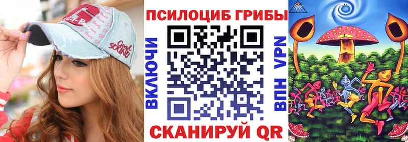 Галлюциногенные грибы Psilocybe Олонец